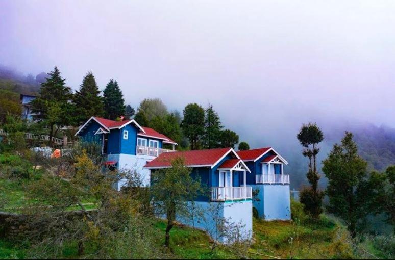 ホテル Cabin In The Woods  Luxury Cottages In Mukteshwar