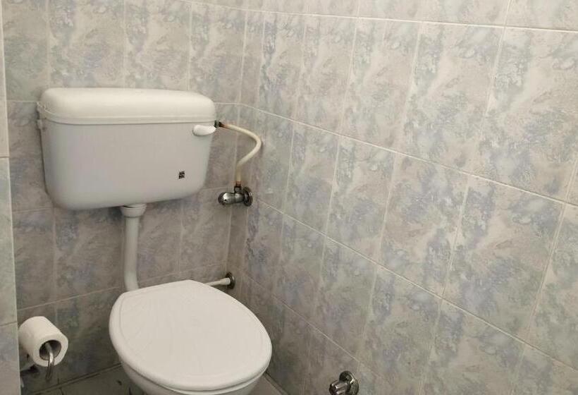 ホテル Chaitanya Inn