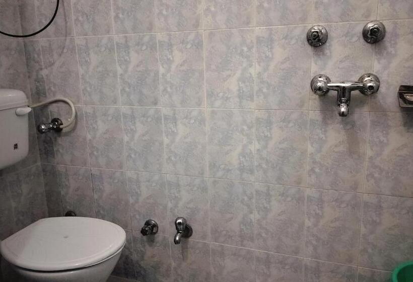 ホテル Chaitanya Inn