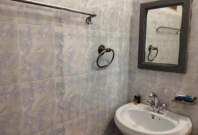 ホテル Chaitanya Inn