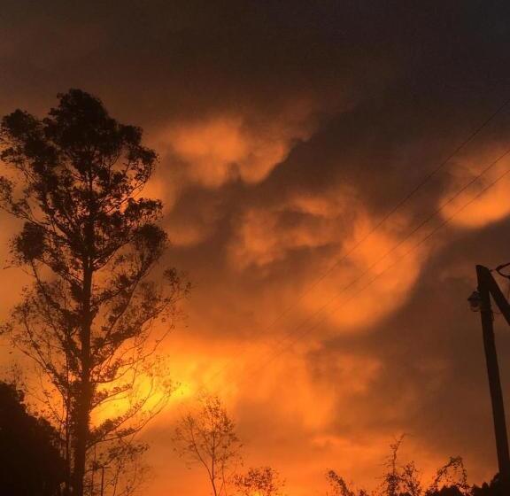 هتل کپسول Campo Verde Iii