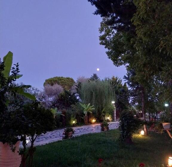 Отель Different