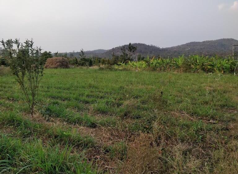 בית מלון כפרי Earthly Life