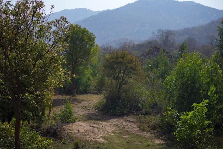 בית מלון כפרי Earthly Life