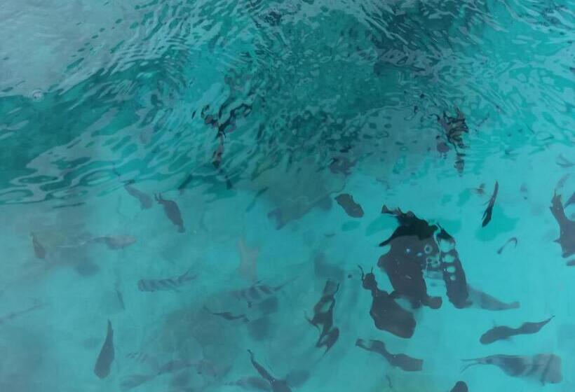 호텔 Holiday Time Bungalows Zanzibar