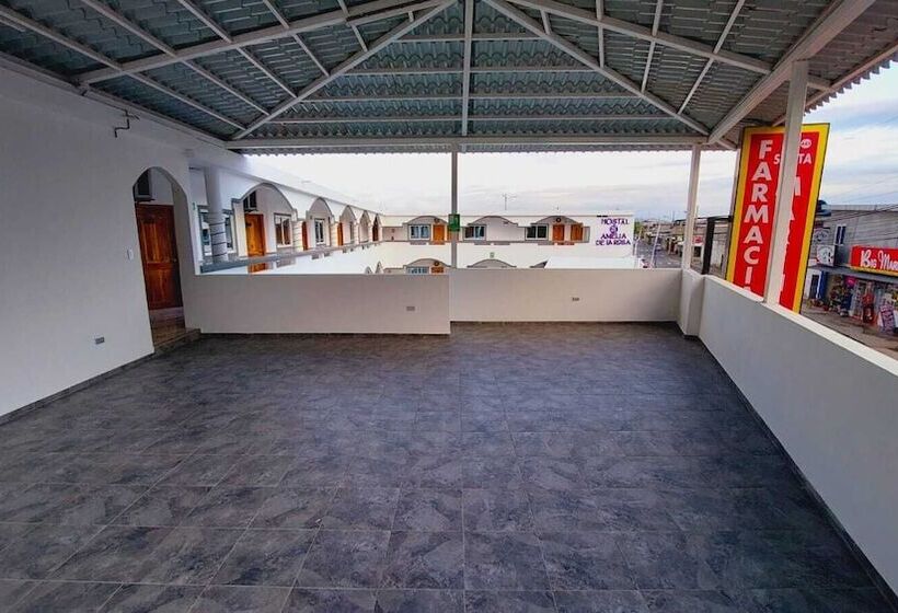 호텔 Hostal Amelia De La Rosa