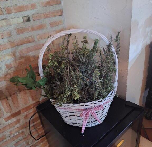 فندق Hostal El Patio Restaurante