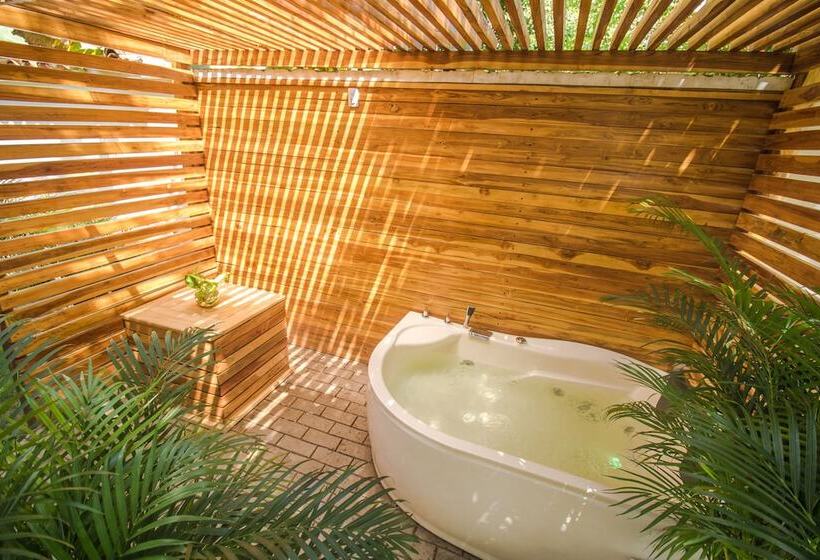 בית מלון כפרי Literatium