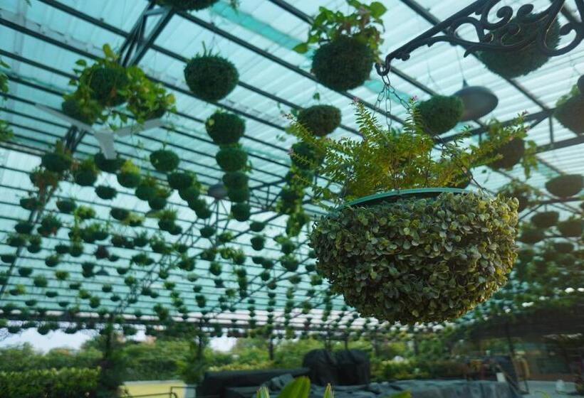 בית מלון כפרי Mayfair Purnea