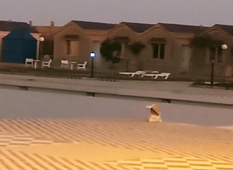 בית מלון כפרי Nagjir Plage