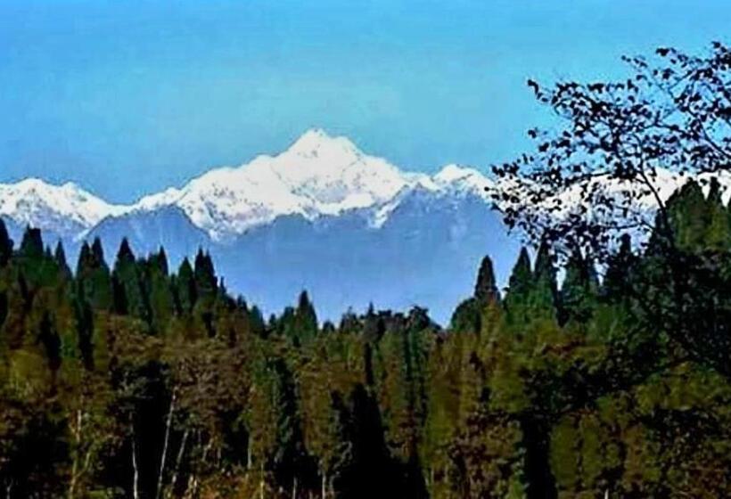 ホテル Pine Vista By Stayapart