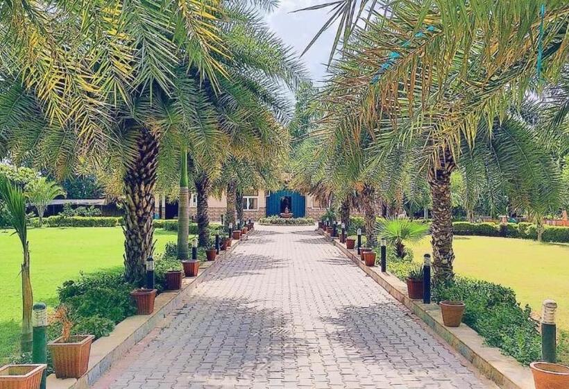 בית מלון כפרי Tri Farm