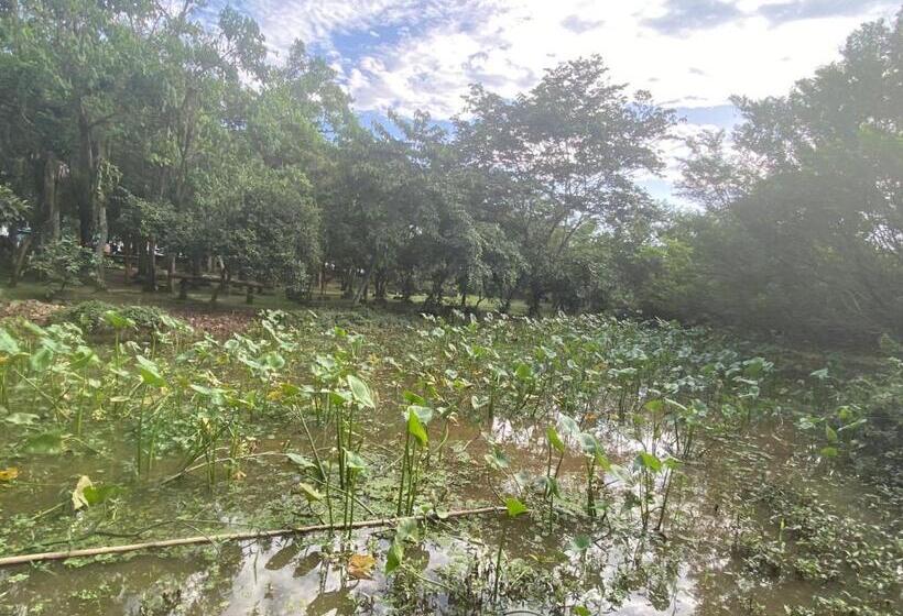 Itajaí Hostel Pousada