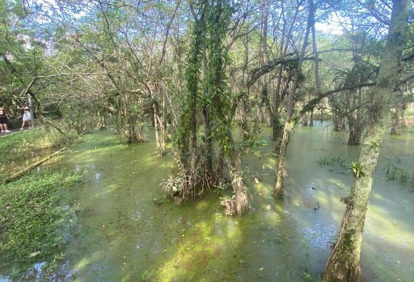 Itajaí Hostel Pousada