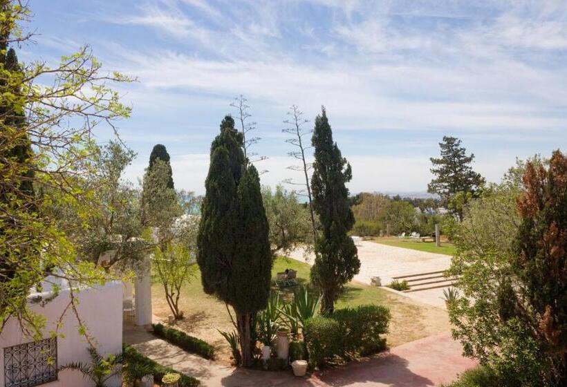 Lella Kmar B&b Avec Piscine Sidi Bou Said