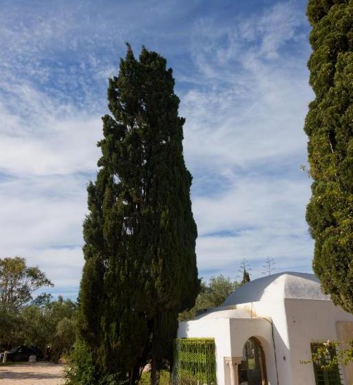Lella Kmar B&b Avec Piscine Sidi Bou Said