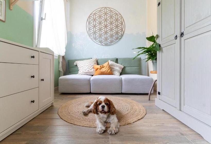 פנסיון Amagi Home