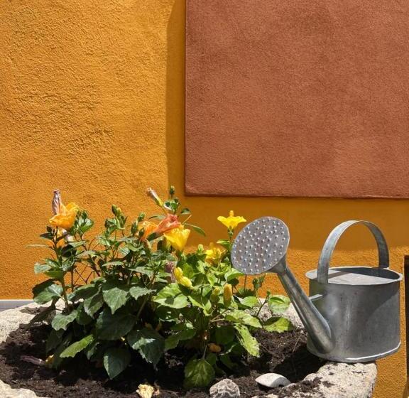 膳宿费 Casa Fanni  Rooms