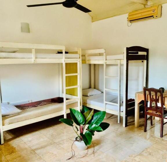 פנסיון Dreamy Surf House