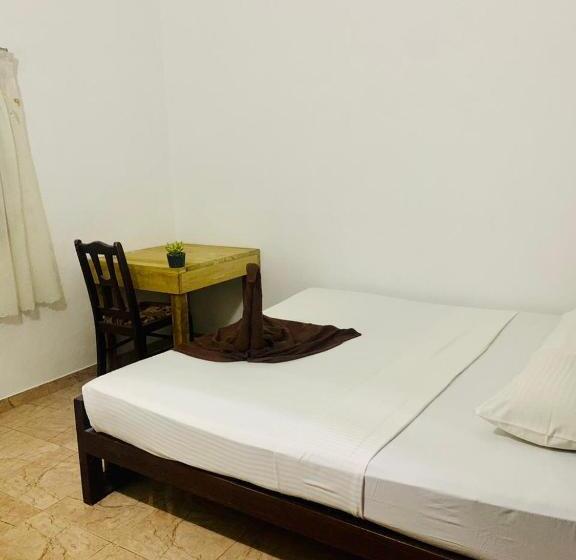 פנסיון Dreamy Surf House