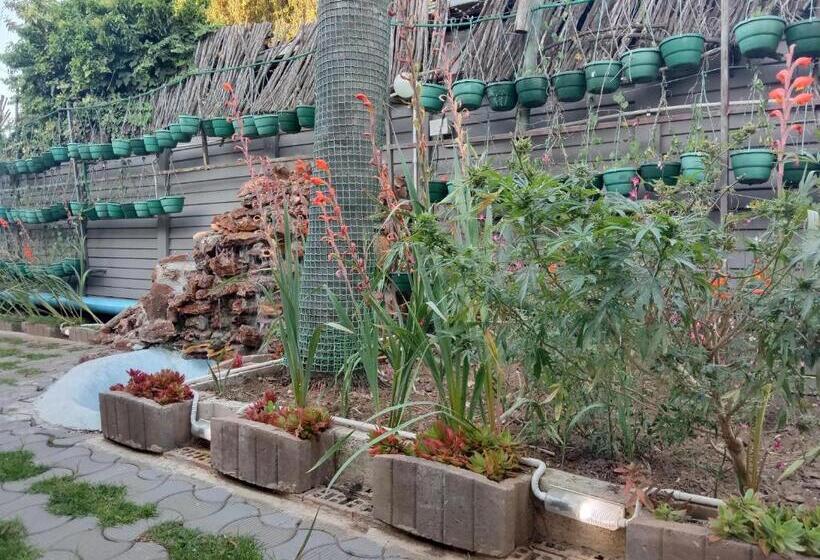 بنسيون Executive Guest House Randfontein