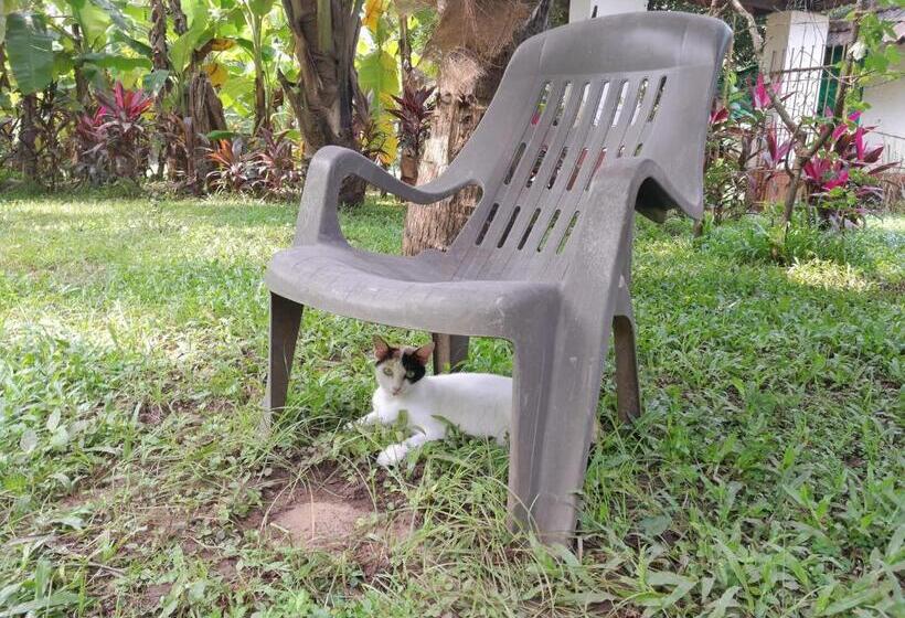 פנסיון Heritage House : The Honeymooners Houstel