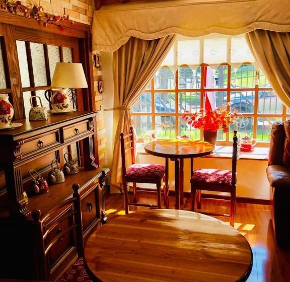 פנסיון Hostal Collins House