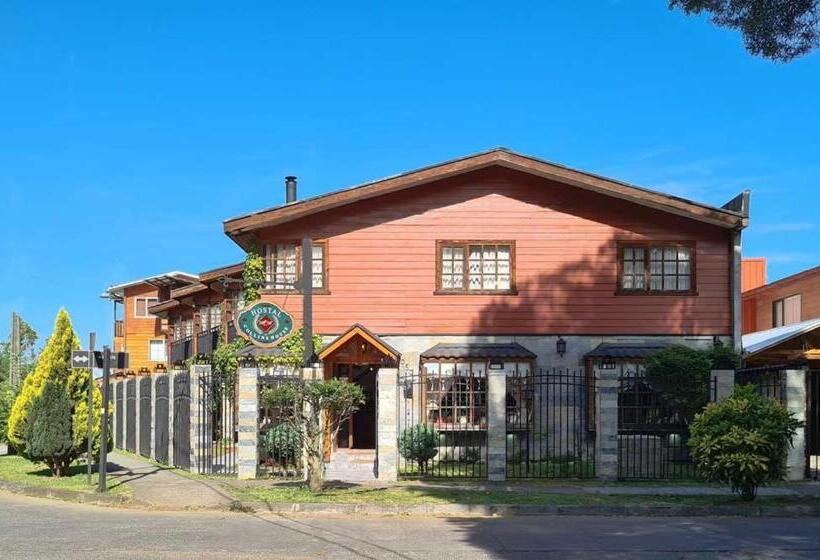 פנסיון Hostal Collins House