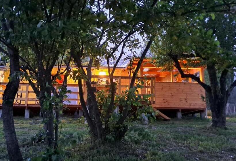 ペンション Hostel El Limon