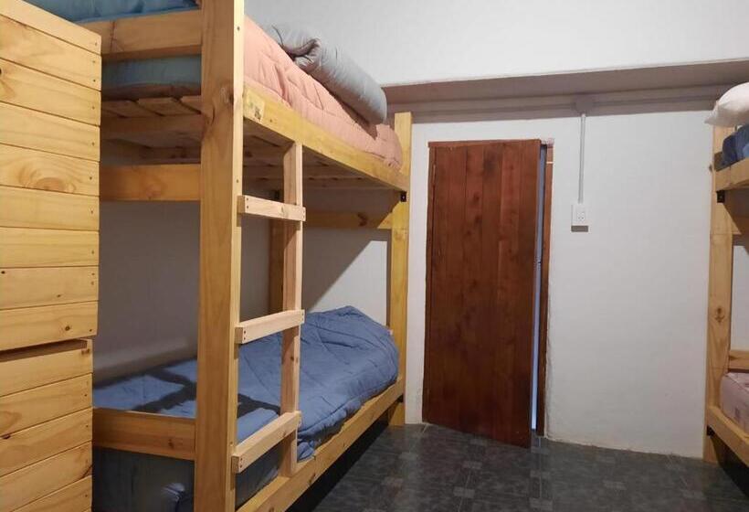 ペンション Hostel El Limon