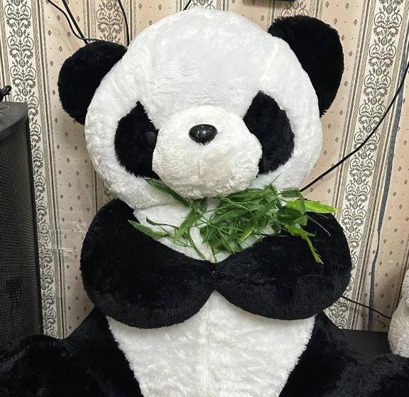 ペンション Karakalpak Travel