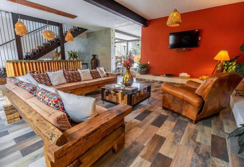 ペンション Casa Tizates Laguna N Habitación Doble