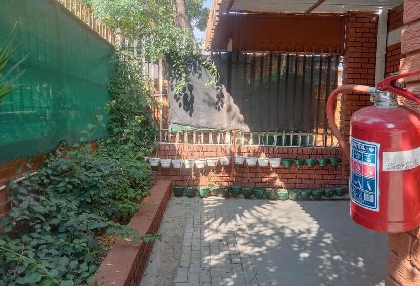 بنسيون Silent Night Guest House Sunnyside Pretoria