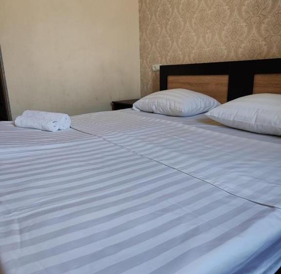 פנסיון Sirik S