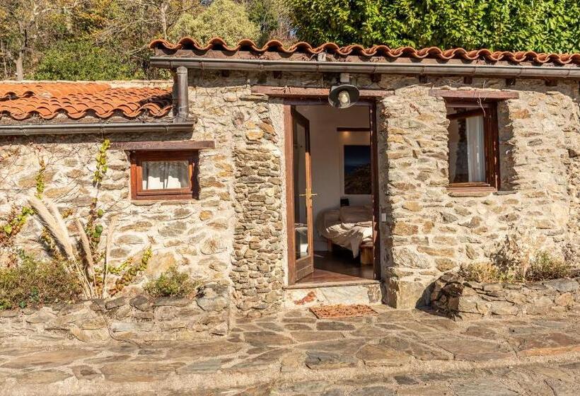 بنسيون Suite Rosas