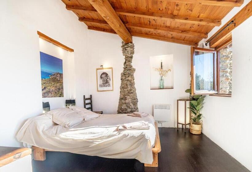 بنسيون Suite Rosas