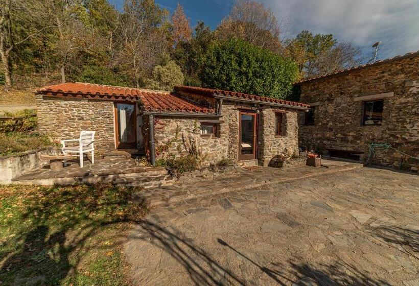 بنسيون Suite Rosas