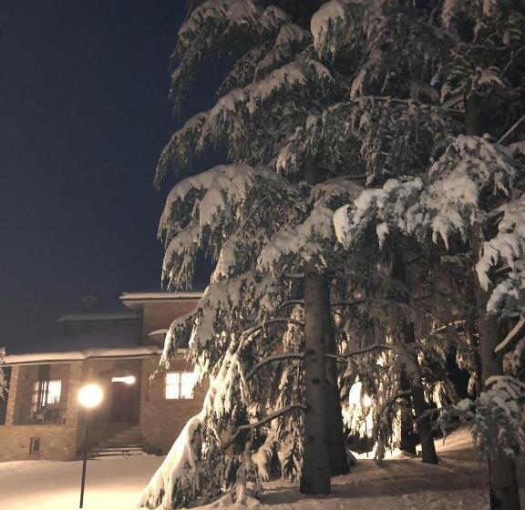 ペンション Villa Moglietta Host In Langhe