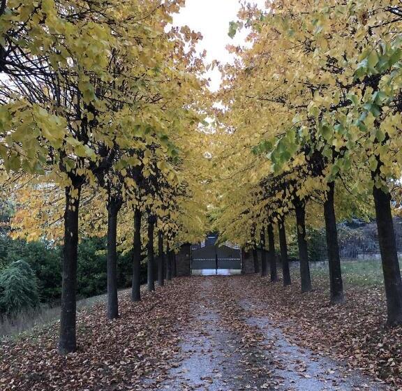 ペンション Villa Moglietta Host In Langhe