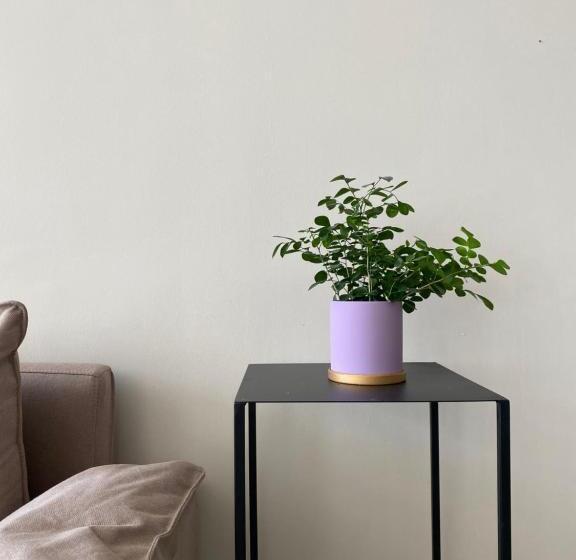 Pomelo Hostel Xingping