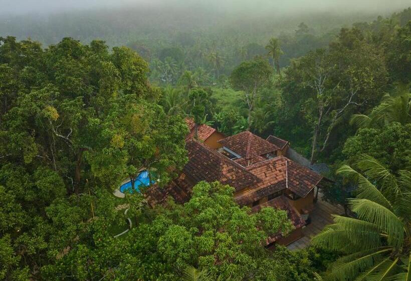 渡假胜地 Malabar Kovilakam