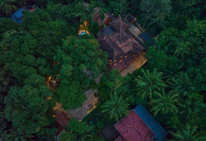 渡假胜地 Malabar Kovilakam