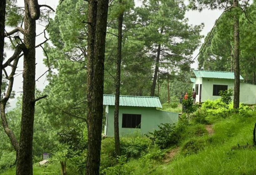 אתר נופש Rd Bistro   Connect Back To Nature