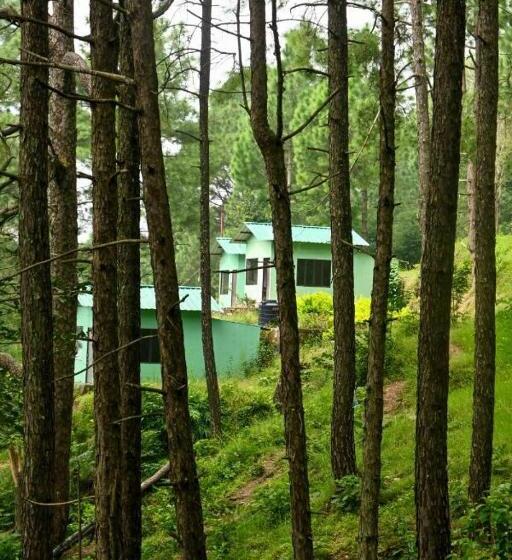 אתר נופש Rd Bistro   Connect Back To Nature