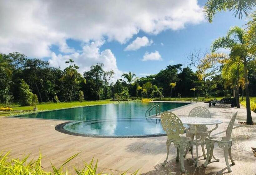 River Park Hotel   Hikkaduwa