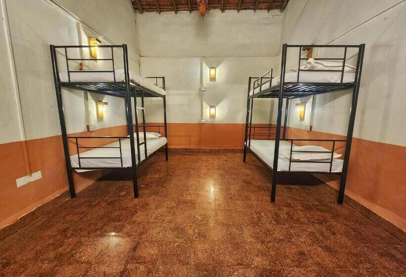 Rustic Dreams Hostel   Anjuna