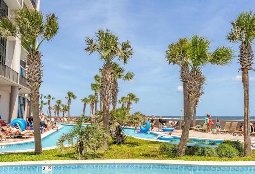 The Bluebird Oba At Phoenix West Ii