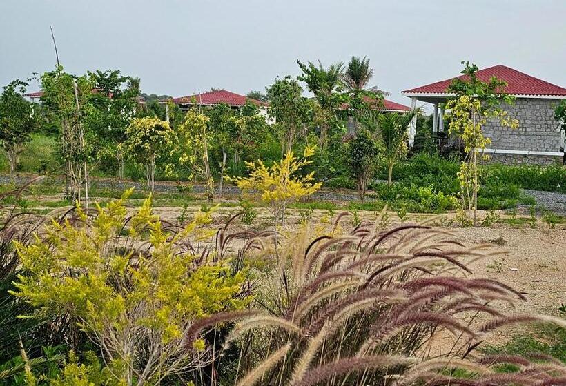 The Leopard View Jawai By 7box Hotels