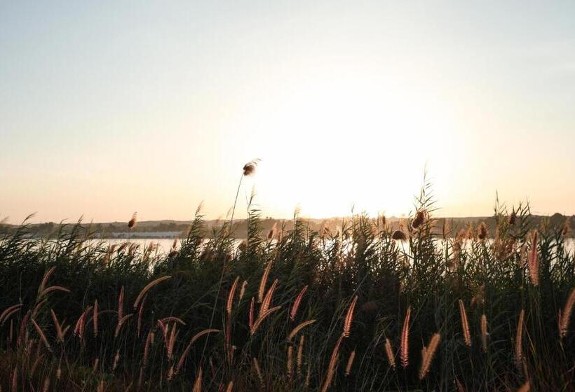 The Zen Wellness Resort