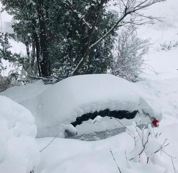 Tree Nest Resort By The Hfe